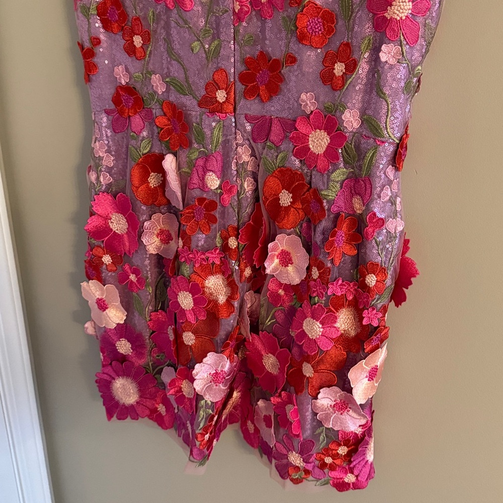 Floral Pink and Red Helsi dress NWT size XL - Picture 5 of 7